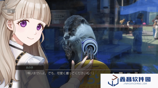 本站
